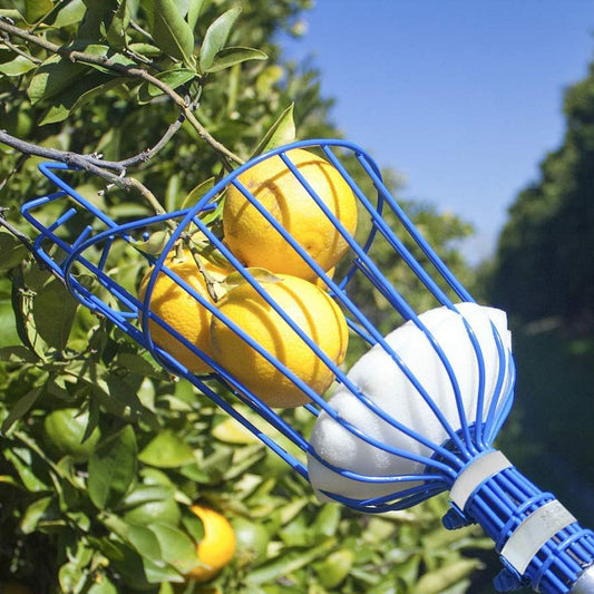 Easy-Pick Fruit Harvester Tool for Orchard and Garden