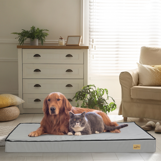 Gray Orthopedic Pet Calming Bed Soft Sponge Foam Base with Removable Cover