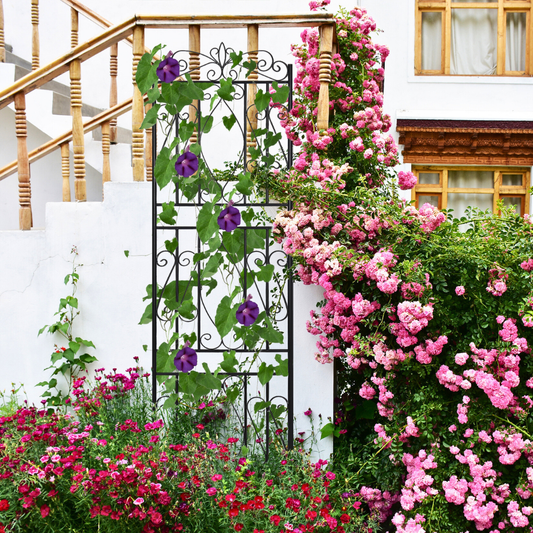 Garden Border Trellis High Metal Climbing Plants Support Trellis