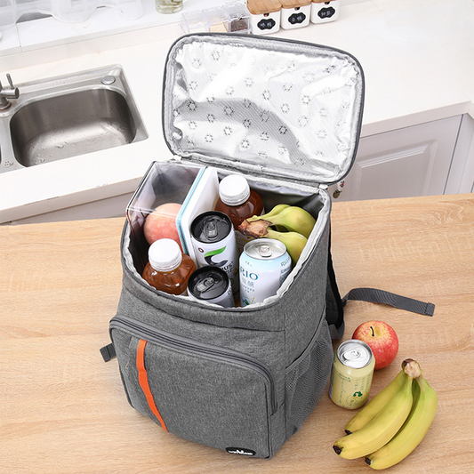 20L Waterproof Insulated Lunch Box Bag for Camping