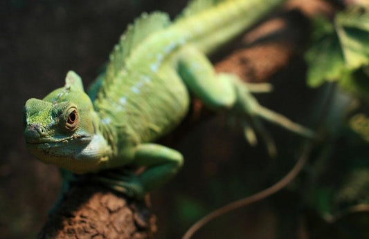 Enhance Image Quality With Nd Filters For Gopro Hero4 / 3 / 3 Sports Action Camera-1915197494904623106