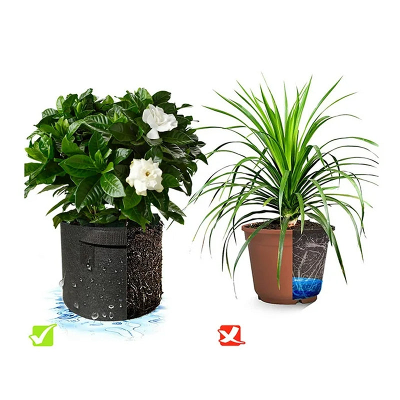 Non-Woven Fabric Reusable and Breathable Growing Planter Pots in 5, 10, and 20 Gallon