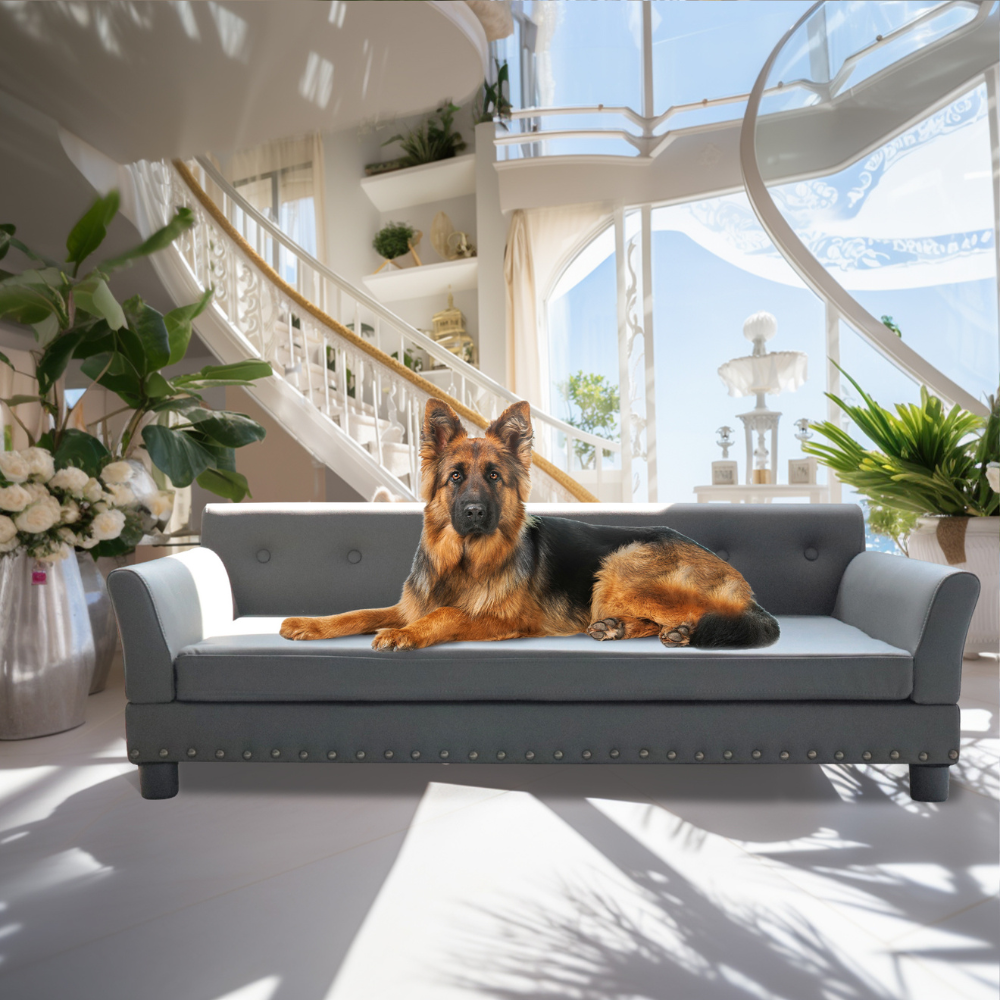 Luxurious Elevated Dog Bed Sofa with Microfiber Leather Cover