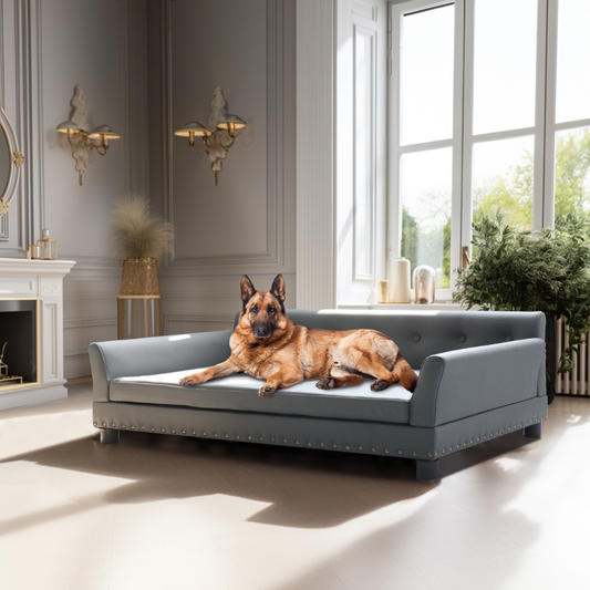 Luxurious Elevated Dog Bed Sofa with Microfiber Leather Cover