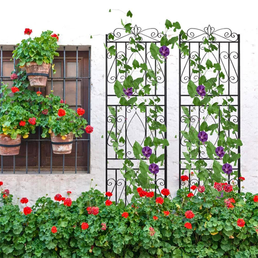 Garden Border Trellis High Metal Climbing Plants Support Trellis