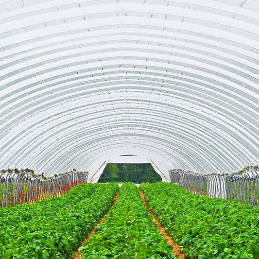 Greenhouse Film Cover Greenhouse Film UV Resistant Polyethylene Covering Garden Plants Flowers Agriculture