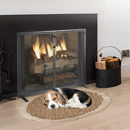 Fireplace Screen 1 Panel with Door Iron
