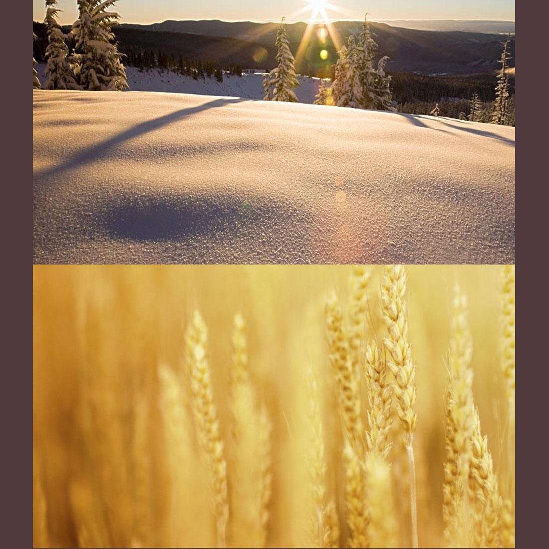 Professional 40.5Mm Lens Filter Kit For Gopro Hero4 / 3 / 3+ With Waterproof Housing And Adapter Ring-1915197511929303048