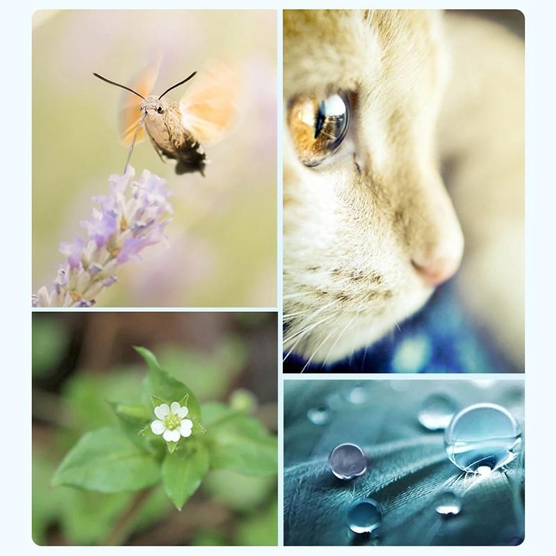 52Mm Professional Filter Set For Gopro Hero 7 / 6 / 5 With Adapter And Lens Cap-1915196990237577221