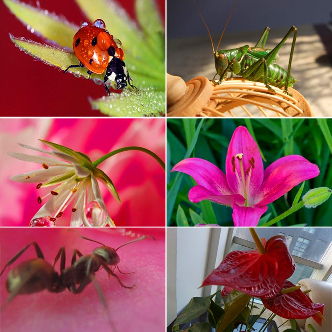 58Mm Macro Lens With Adapter Ring For Gopro Hero5 - Professional Quality-1915198394658328581