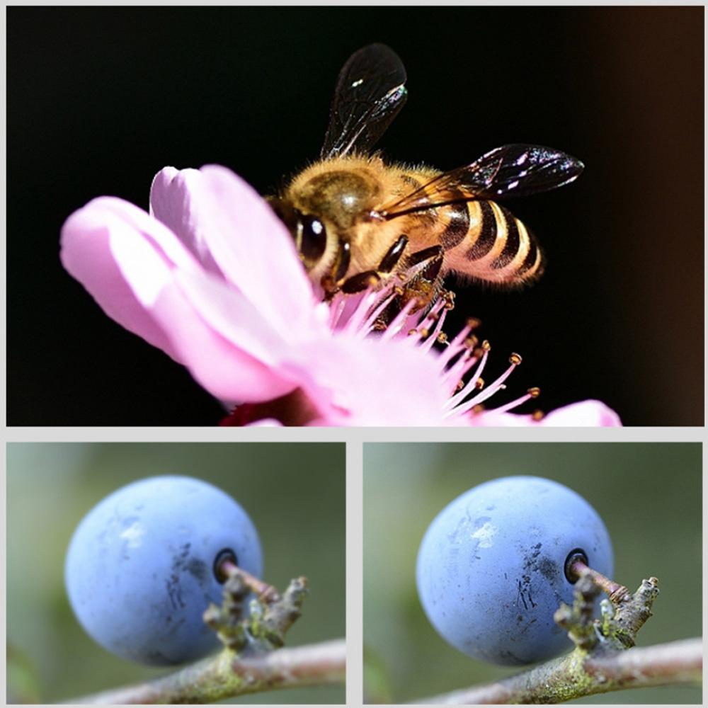 5-In-1 Round Housing Lens Filter For Gopro Hero8-1915197935566589955