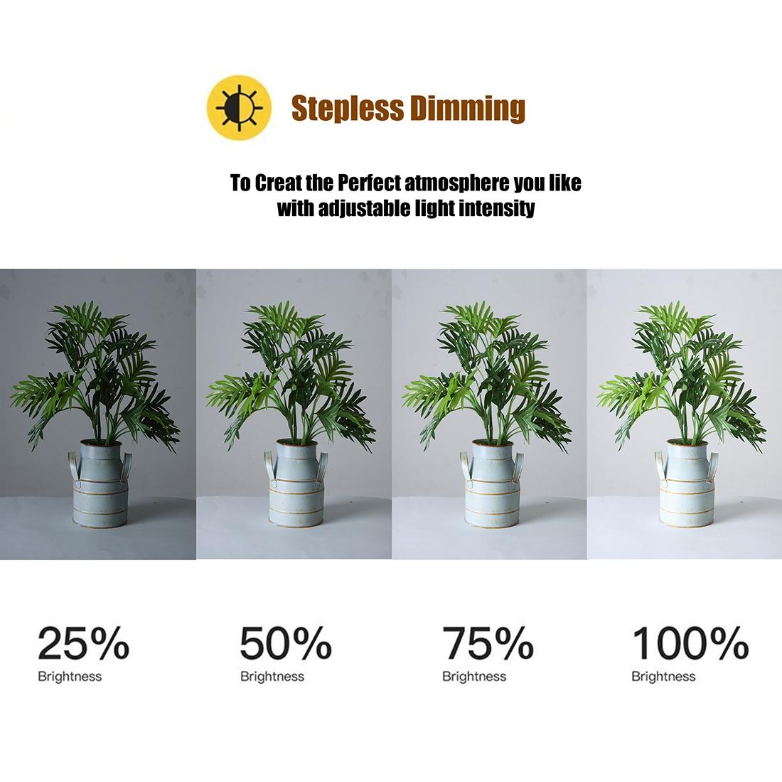 18 Two-Colour Dimmable Ring Fill Light With Tripod 55W 100-240V-1915198079649320964