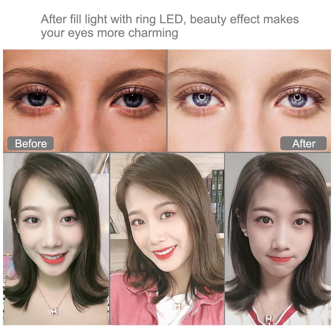 10.2 26Cm Ring Light Kit With Tripod Usb 3 Modes Dual Colour Phone Clamp Remote - Black-1915196770636402696
