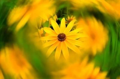 Universal Lens Filter For Dji Phantom 3 And 4 Series-1915197152552947714