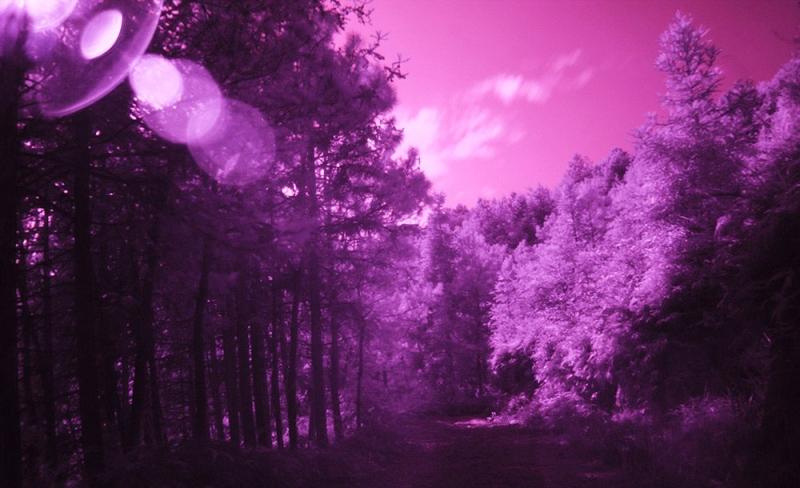 2.1Cm Internal Diameter Uv / Lens Filter For Sjcam Sj4000 And Sj4000 Wifi Sport Cameras-1915198236243660808