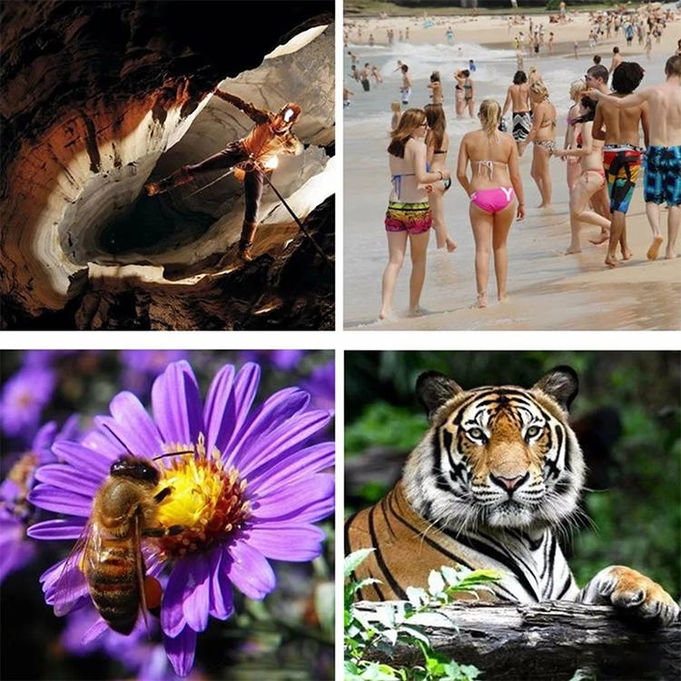 52Mm Monocular Telescope For Hunting And Low Light Night Vision-1915197606120787975