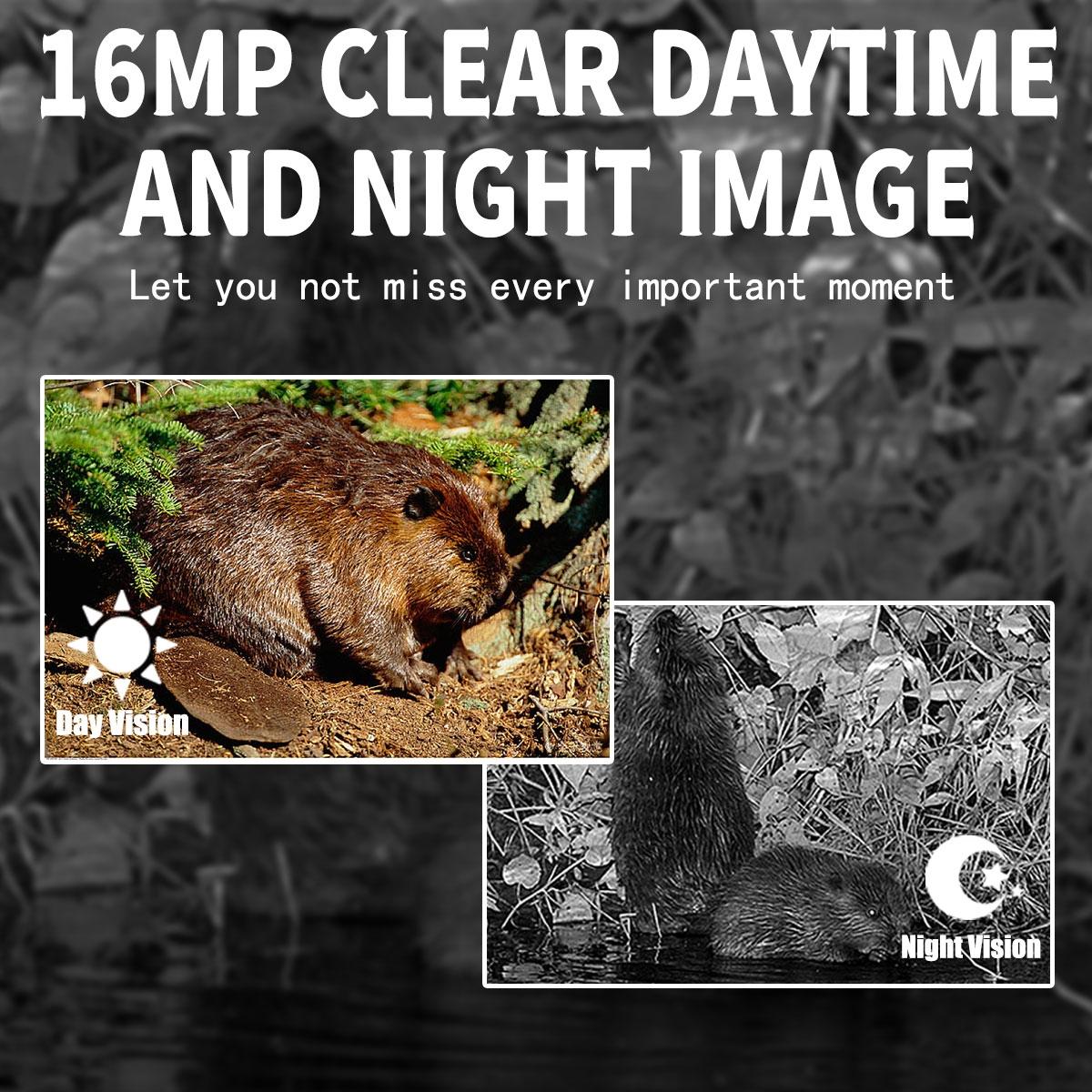 16Mp Outdoor Hunting Camera With Night Vision And Motion Activation-1915198407379652613
