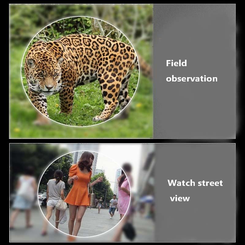 Low Light Visual Binoculars - 10X22 For Enhanced Viewing-1915197747313643524