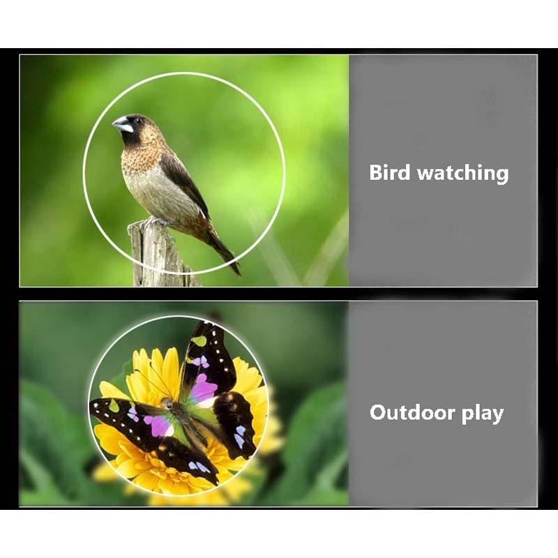 Low Light Visual Binoculars - 10X22 For Enhanced Viewing-1915197747313643525