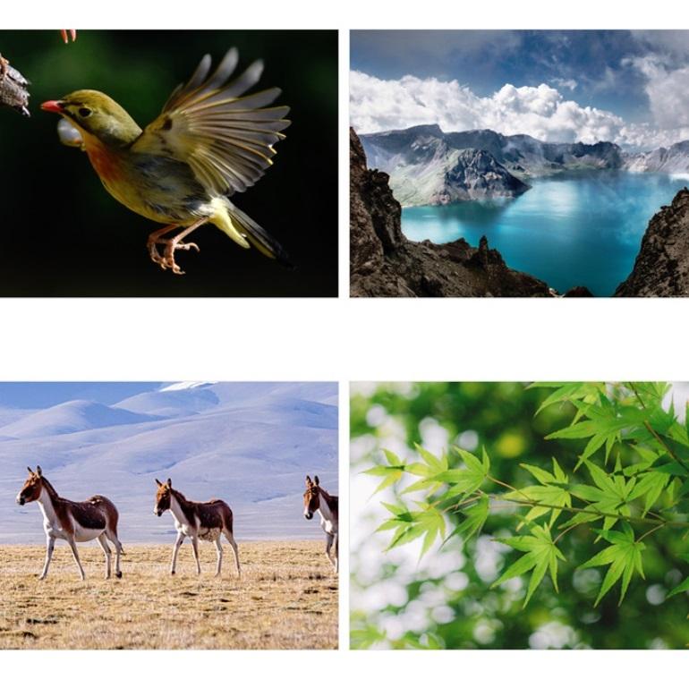 High-Power Small Telescope For Kids - Science Education Toy-1915197568120393731