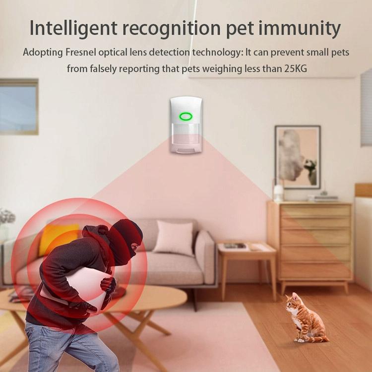 Smart Wifi Infrared Alarm With Human Body Detector-1922443430034804740