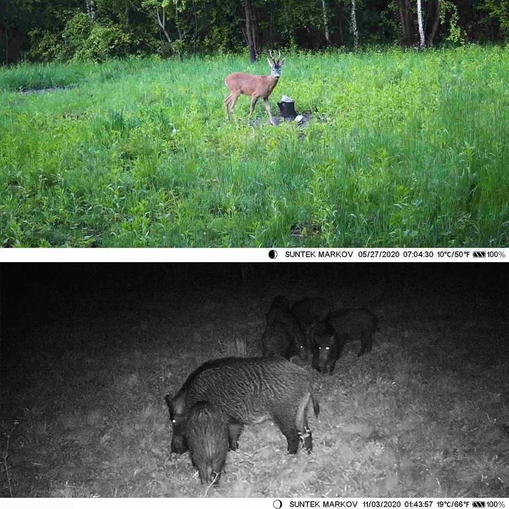 Outdoor Infrared Night Vision Camera With Tracking - 2.7K-1915197017089511432