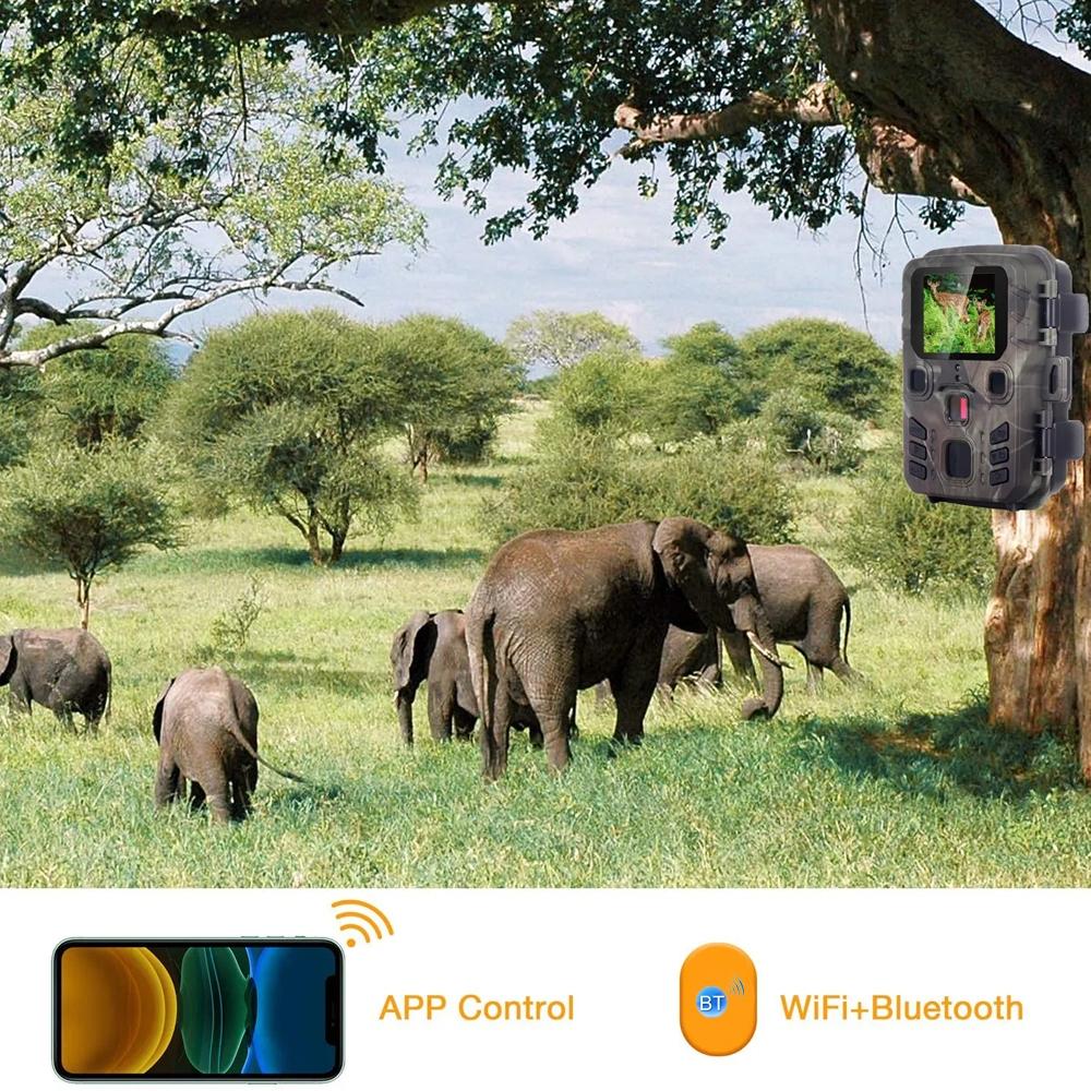 24Mp Wifi Hunting Camera With Bluetooth & Night Vision-1915198344561561606
