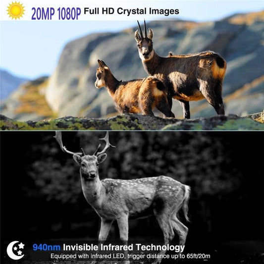 Outdoor 4G Night Vision Trail Camera With Infrared-1922443460397371394
