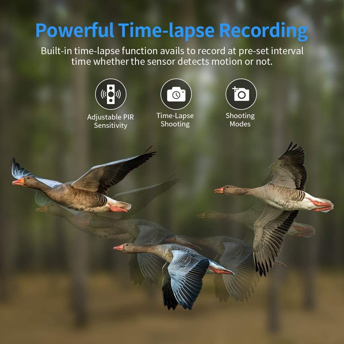 Outdoor 4G Night Vision Trail Camera With Infrared-1922443460397371401