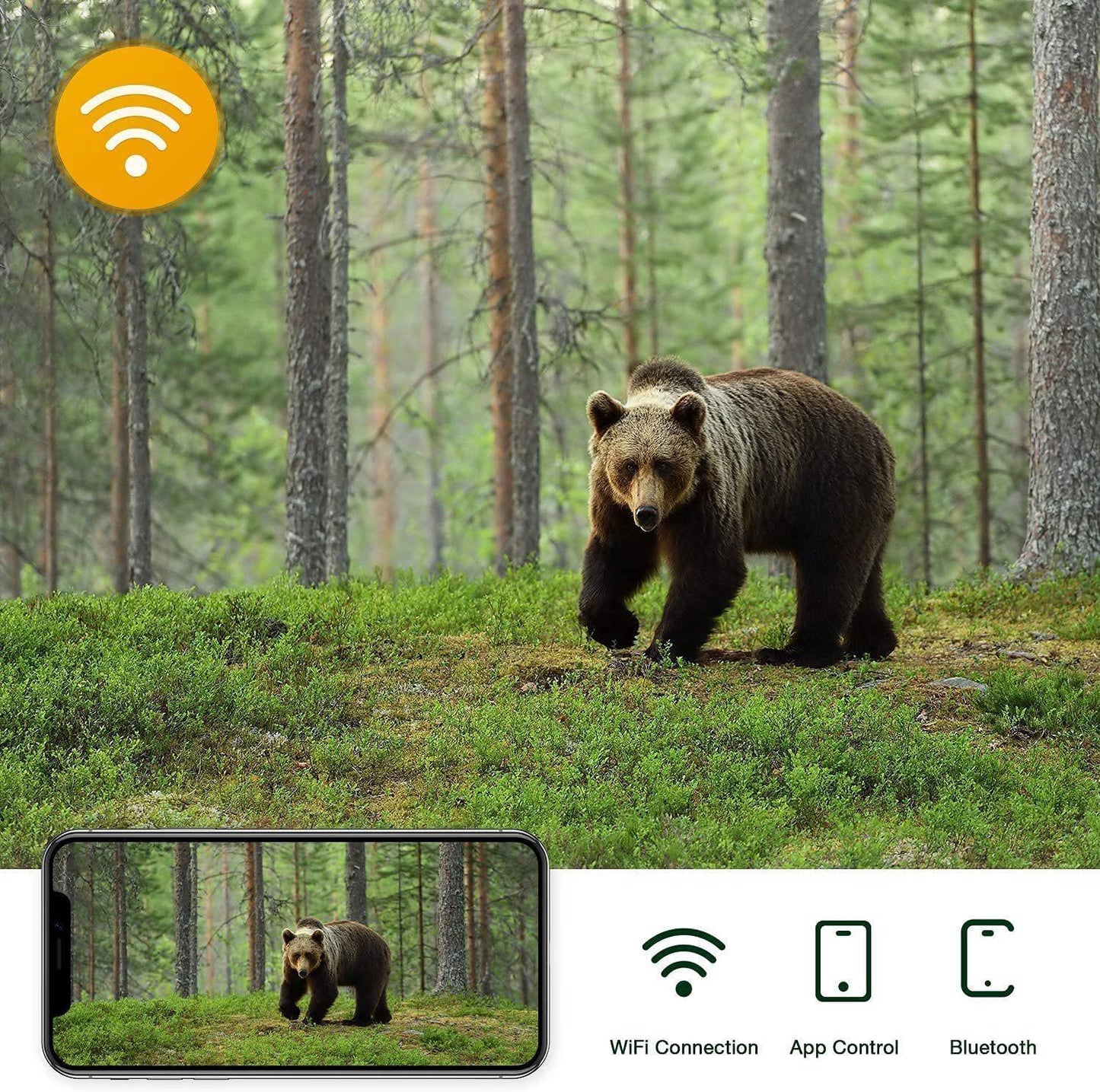 Outdoor Hunting Camera With Wifi900Pro For Remote Viewing Of Photos / Videos-1915198301263761412