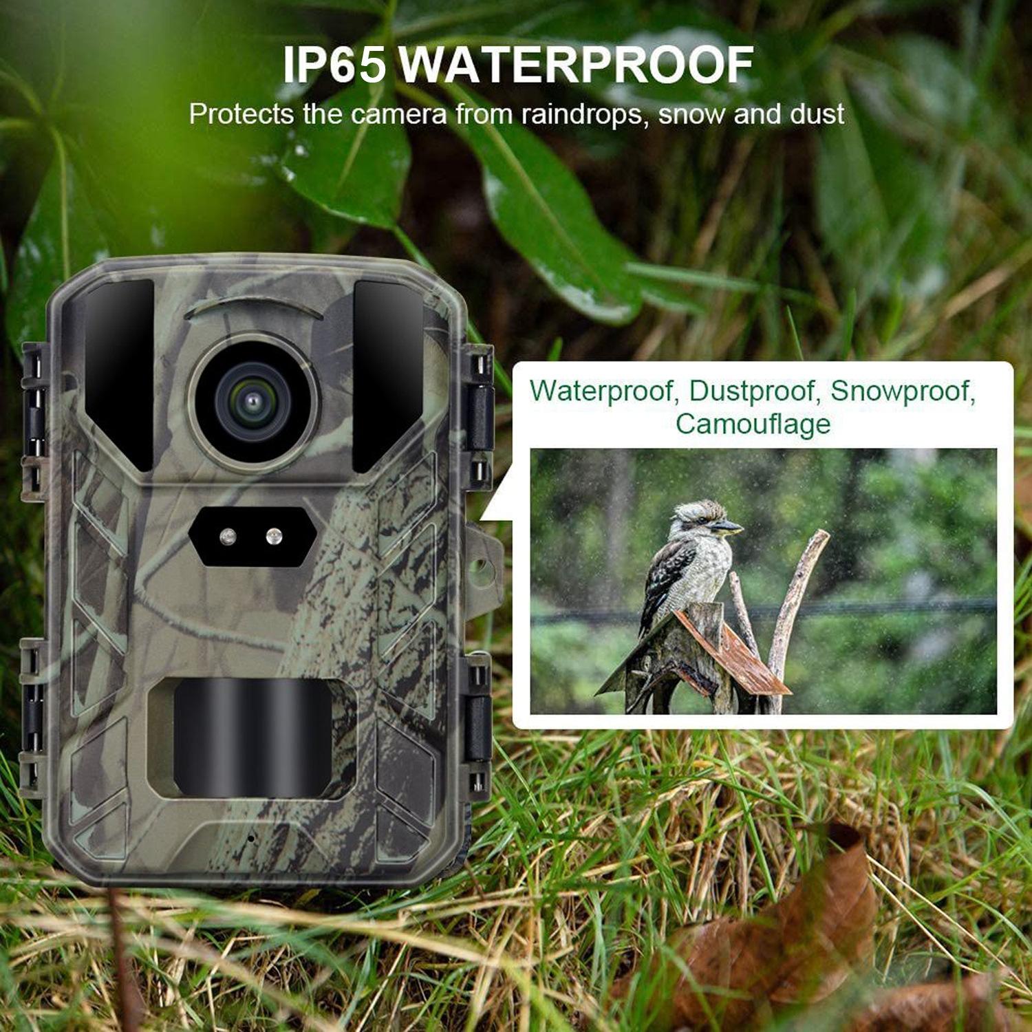 50Mp / 4K Mini Wildlife Hunting Camera With Night Vision-1915198282938847239