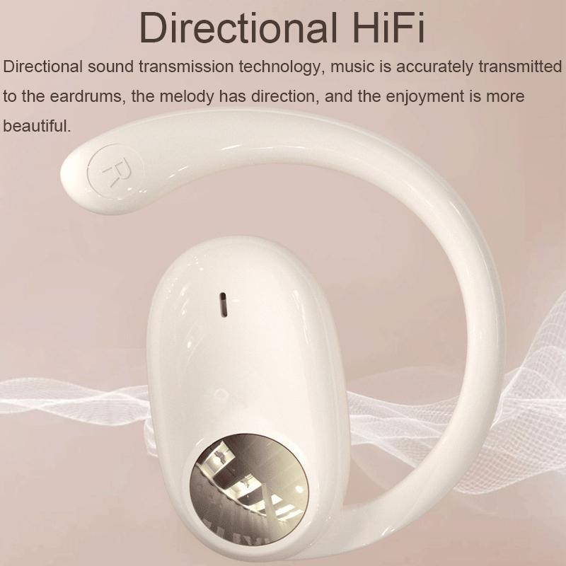 Wireless Dual-mic Bluetooth Earphones with Noise Reduction and Led Display - Black