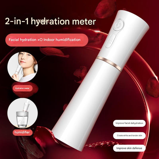 White 2 in 1 Cool Mist Humidifier and Facial Moisturizer - USB Rechargeable Portable Nano Sprayer